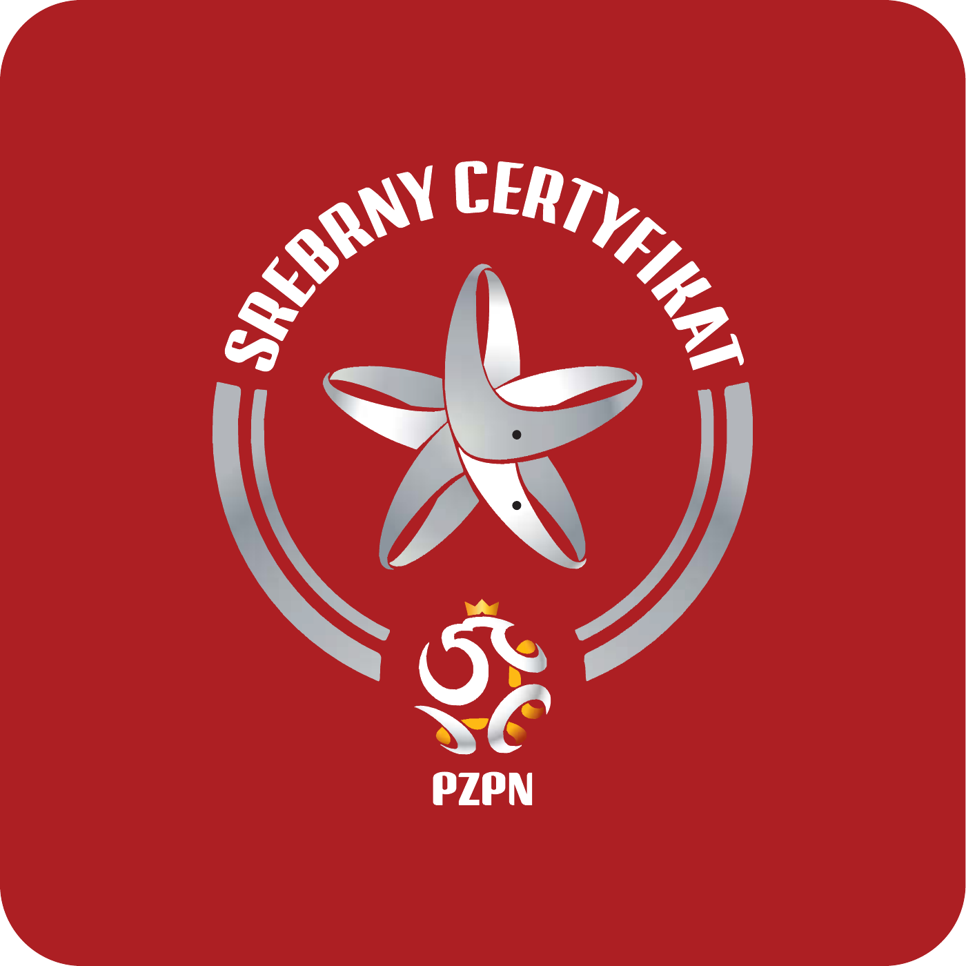 Srebrny Certyfikat PZPN